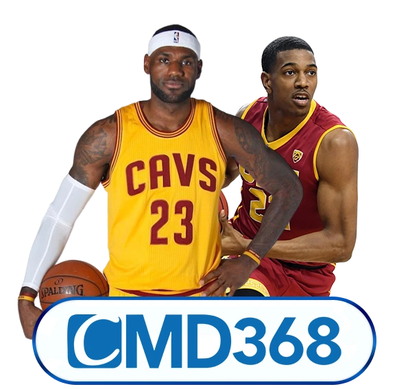 cmd 368 sports